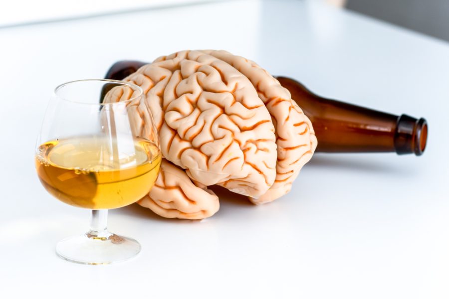 Alcohol changing the brain